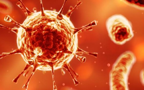 自己好性和自限性疾病是什么意思