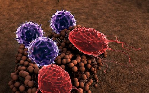 儿童细菌感染是什么原因引起的