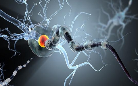 男性肿瘤标志物12项意义多大可以查