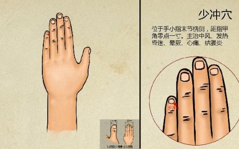 泄泻的中医辨证与分型及代表方剂