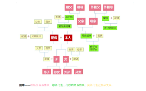 直系亲属包括哪些_直系亲属的定义