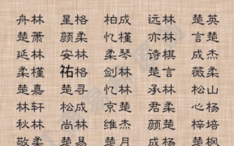 木字旁的字_木字旁的字有哪些字