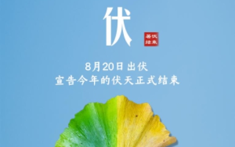 三伏天从什么时候开始_何时开启炎夏最热时段