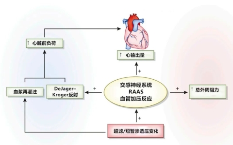 血压低是什么原因导致的